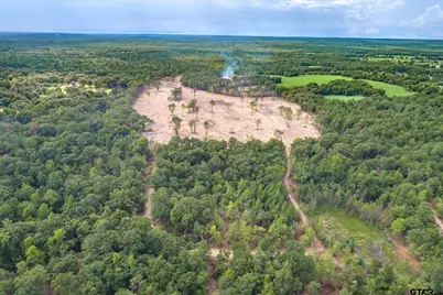 Tract 1 - Tbd County Road 4307, LaRue, TX 75770 - Photo 17