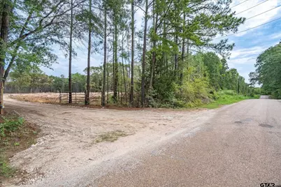 Tract 1 - Tbd County Road 4307, LaRue, TX 75770 - Photo 3