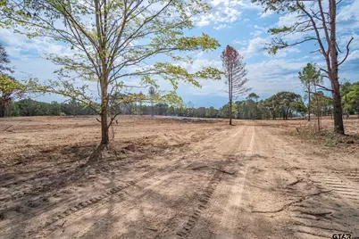 Tract 1 - Tbd County Road 4307, LaRue, TX 75770 - Photo 7