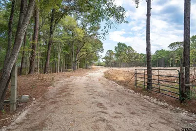 Tract 1 - Tbd County Road 4307, LaRue, TX 75770 - Photo 5