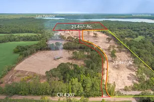 Tract 1 - Tbd County Road 4307, LaRue, TX 75770 - Photo 1