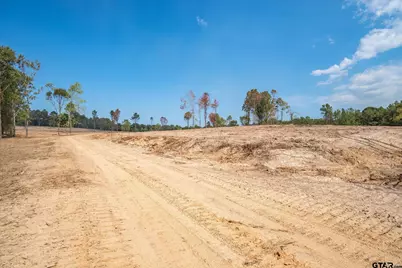 Tract 1 - Tbd County Road 4307, LaRue, TX 75770 - Photo 7