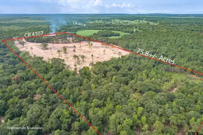 Tract 1 - Tbd County Road 4307, LaRue, TX 75770 - Photo 15