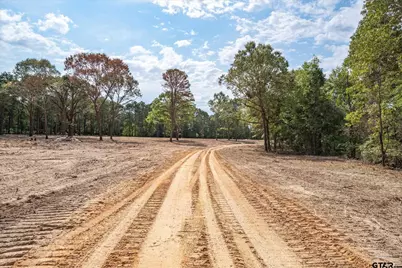Tract 2 - Tbd County Road 4307, LaRue, TX 75770 - Photo 5