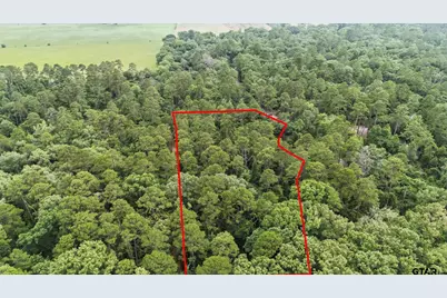 Tbd Valleywood Cv, Holly Lake Ranch, TX 75765 - Photo 5