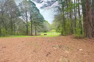 10933 County Rd 384, Tyler, TX 75708 - Photo 5