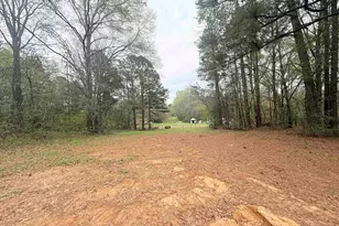 10933 County Rd 384, Tyler, TX 75708 - Photo 1