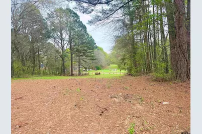 10933 County Road 384, Tyler, TX 75708 - Photo 3