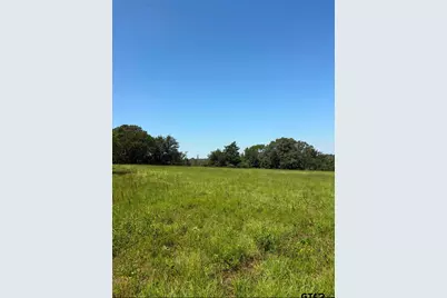 Tbd Cr 192, Tyler, TX 75703 - Photo 5