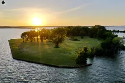0 St Hwy 334, Gun Barrel City, TX 75156 - Photo 1