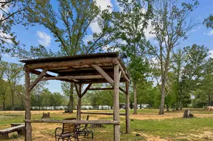 15250 FM 858, Canton, TX 75103 - Photo 15