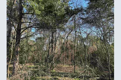 Tbd Cr 3324, Pittsburg, TX 75686 - Photo 11