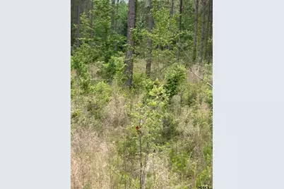 6446 Fm 752, Rusk, TX 75785 - Photo 39
