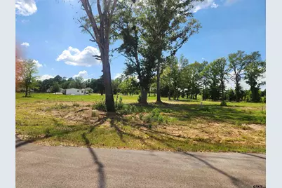 20034 Dews Ct Lot 3, Troup, TX 75789 - Photo 3