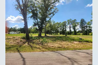 20034 Dews Ct Lot 3, Troup, TX 75789 - Photo 1