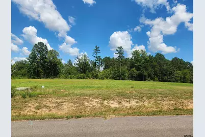 20035 Dews Ct Lot 4, Troup, TX 75789 - Photo 3