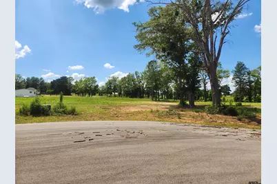 20048 Dews Ct Lot 5, Troup, TX 75789 - Photo 3