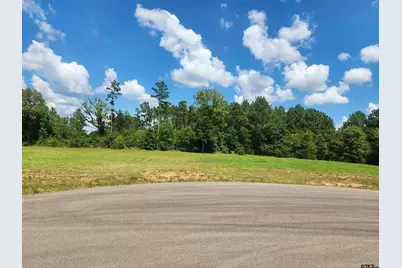 20047 Dews Ct Lot 6, Troup, TX 75789 - Photo 3