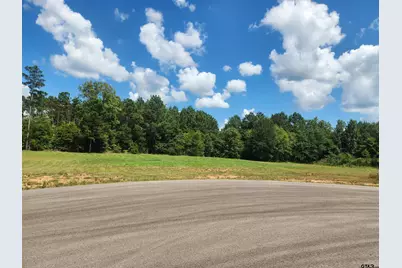 20047 Dews Ct Lot 6, Troup, TX 75789 - Photo 1