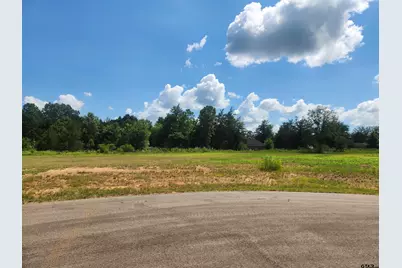 20055 Dews Ct Lot 7, Troup, TX 75789 - Photo 3