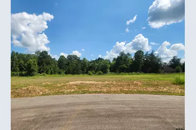 20055 Dews Ct Lot 7, Troup, TX 75789 - Photo 1