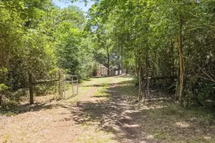 125 County Road 3162, Jacksonville, TX 75766 - Photo 35