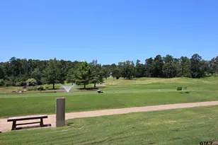 414 E Hideaway Ln, Hideaway, TX 75771 - Photo 43