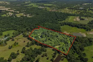 2264 Co Rd 4450, Winnsboro, TX 75494 - Photo 47