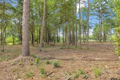 Lot 21A & Boat H Lot 26 Oak River, Frankston, TX 75763 - Photo 5