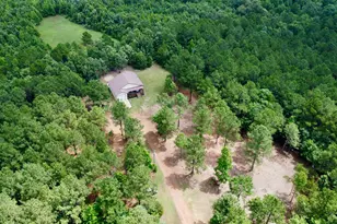 3299 Co Rd 1579, Avinger, TX 75630 - Photo 33