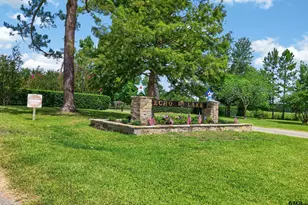 12075 W Lake Dr, Murchison, TX 75778 - Photo 45