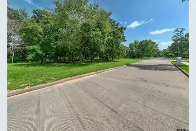 160 S Eagles Bluff Blvd, Bullard, TX 75757 - Photo 9