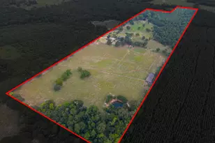 2892 N Live Oak Rd, Big Sandy, TX 75755 - Photo 5
