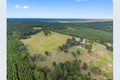 2892 N Live Oak Rd, Big Sandy, TX 75755 - Photo 33
