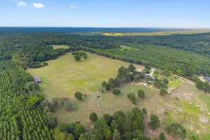 2892 N Live Oak Rd, Big Sandy, TX 75755 - Photo 33
