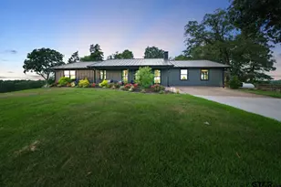 2892 N Live Oak Rd, Big Sandy, TX 75755 - Photo 1