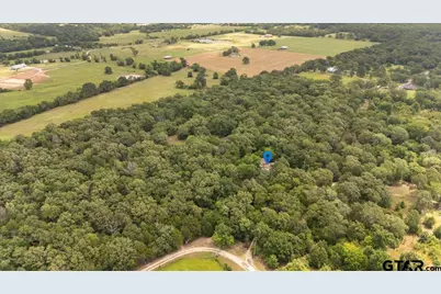 404 Pr 6227, Canton, TX 75103 - Photo 3