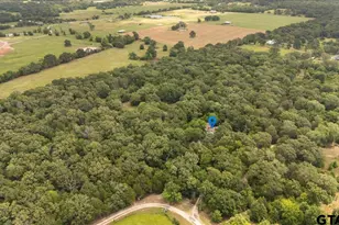 404 Pr 6227, Canton, TX 75103 - Photo 3
