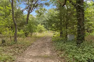 404 Pr 6227, Canton, TX 75103 - Photo 7