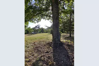Tbd Cr 227, Arp, TX 75750 - Photo 11