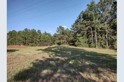 Tbd Cr 227, Arp, TX 75750 - Photo 15