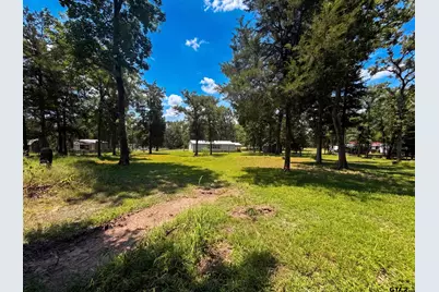 180 An County Road 4251, Palestine, TX 75803 - Photo 47