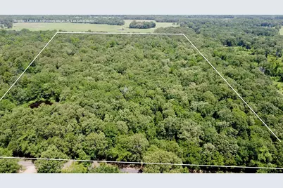 Tbd Cr 44400-3, Powderly, TX 75473 - Photo 5