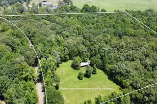 Tbd Cr 44400-4, Powderly, TX 75473 - Photo 1