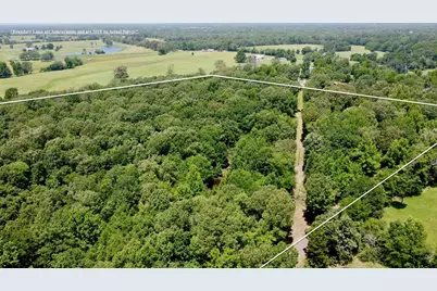 Tbd Cr 44400-5, Powderly, TX 75473 - Photo 5