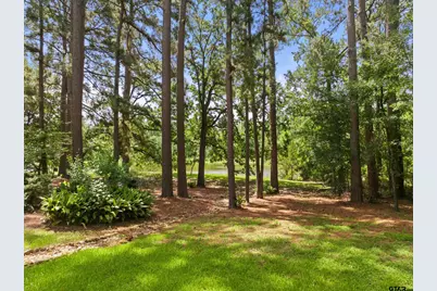4930 W Twin Lakes Drive, Tyler, TX 75704 - Photo 29