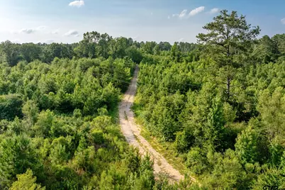 Tbd County Road 2159, Troup, TX 75789 - Photo 17