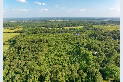 Tbd County Road 2159, Troup, TX 75789 - Photo 3