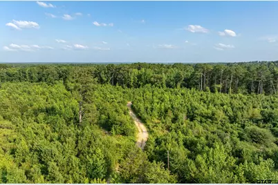 Tbd County Road 2159, Troup, TX 75789 - Photo 15