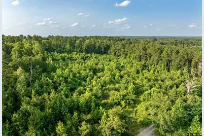 Tbd County Road 2159, Troup, TX 75789 - Photo 19